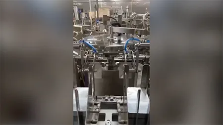 Envasadora de doble entrada
