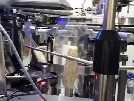 Envasadora al vacío para choclo de maíz fresco